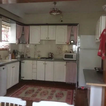 Villa The Sapanca *